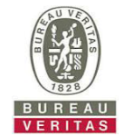 Bureau Veritas's logo
